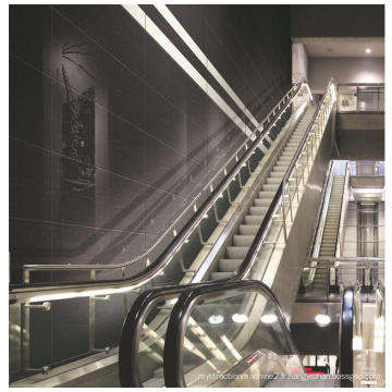 Escalator extérieur de centre commercial de début automatique de Handrial d&#39;économie d&#39;énergie